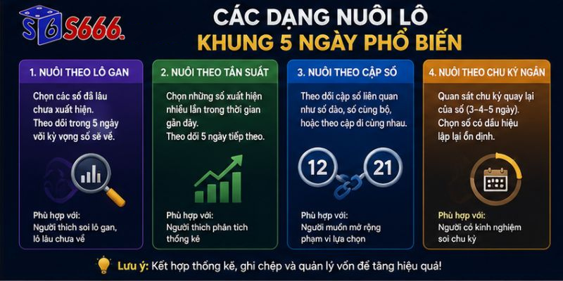 Các Dạng Nuôi Lô Khung 5 Ngày Phổ Biến