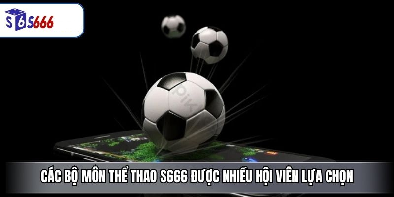 Các bộ môn thể thao S666 được nhiều hội viên lựa chọn